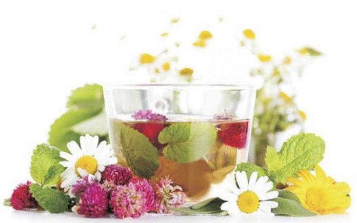 1383759163_travyanoi-chai_sm