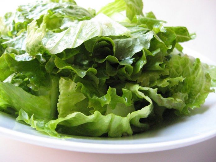 Zaļo salātu labvēlīgā ietekme uz organismu 