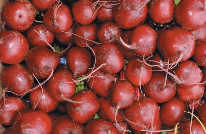 Galda bietes - dakteris jūsmājās 