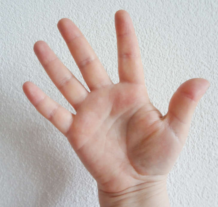 Jūsu rokas izmērs var daudz ko pastāstīt par jūsu personību  Vajag tikai ieskatīties 1