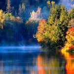 autumn-latvia-river-morning-forest-fog-nature