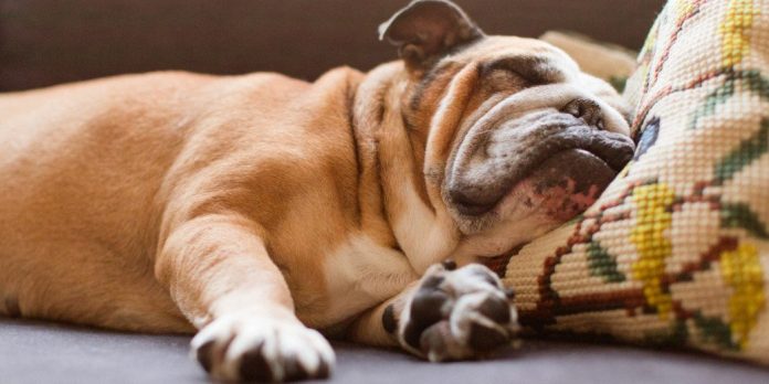 6 praktiski padomi kā pārtraukt atlikt darīšanas uz vēlāku laiku 