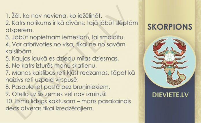 10 principi, kuri vislabāk raksturo Dvīņus 8