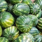 bigstock-Watermelon-Is-Sold-At-The-Baza-90952598