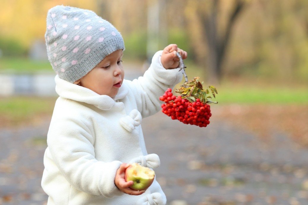 Little cute girl in white holds apple and rowanberry in autumn park