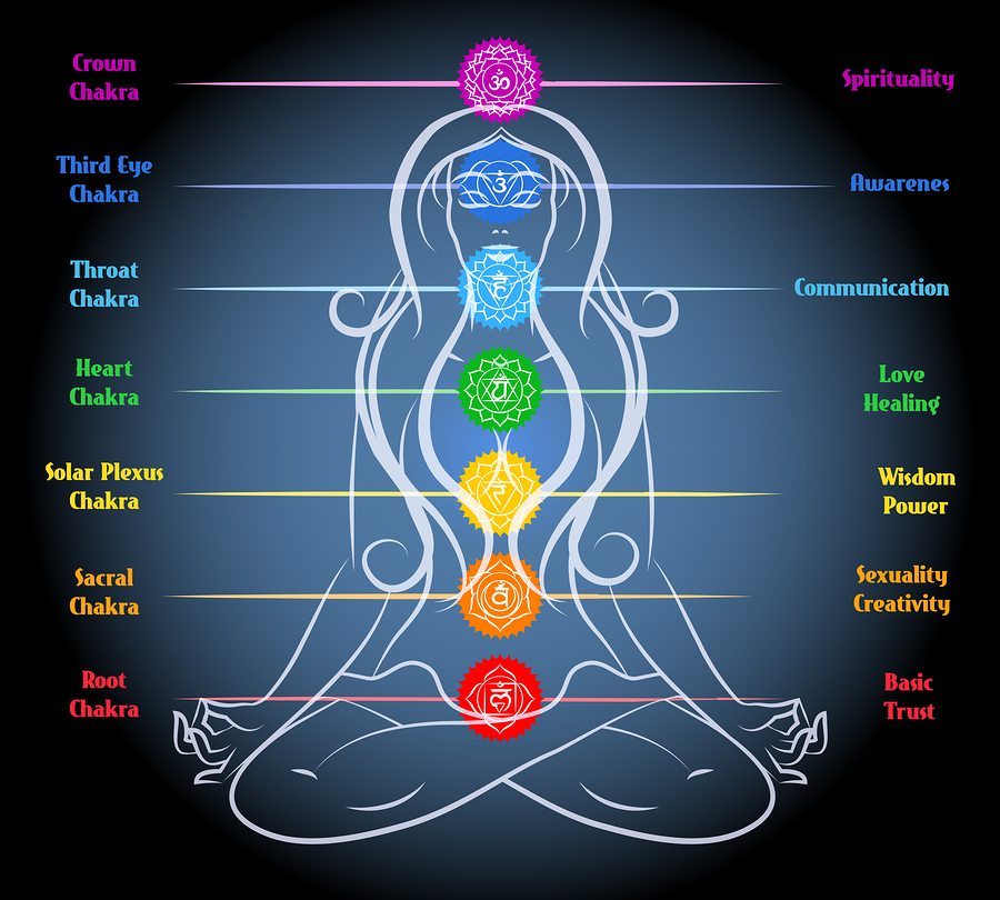 Foto: Woman yoga meditation with chakras. Heart and sacral, root and sexuality and wisdom. Vector illustration