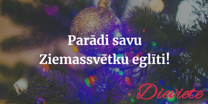 ziemassvētku egle 2